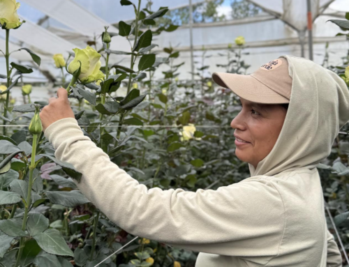 ¿Qué es la debida diligencia y por qué cada vez más fincas la están aplicando?