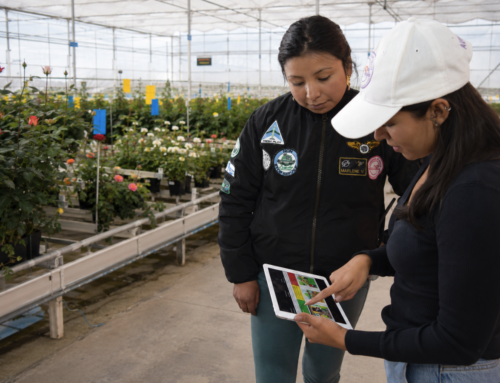 Flor Ecuador Certified® V5.0: información que impulsa una gestión sostenible